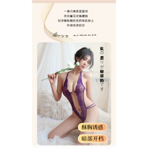 长夜漫漫情趣内衣露背性感透明蕾丝开档诱惑露背系带连体衣女2013